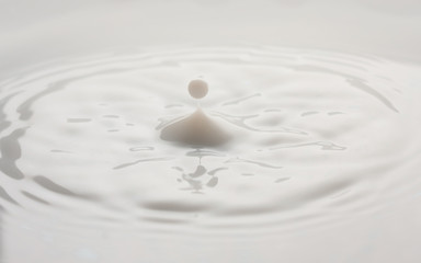 Fototapeta na wymiar drops splashing milk isolated on white background