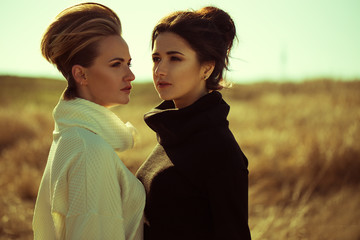 Two young beautiful girl in the field. Fashion portraits of blond and brunette girls, european and...