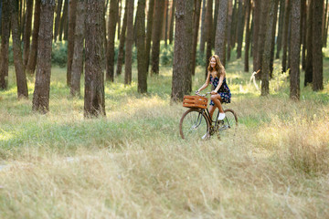 Girl rides a bicycle with a basket in the woods.