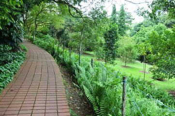 Red brick path in Singapore Botanic Garden