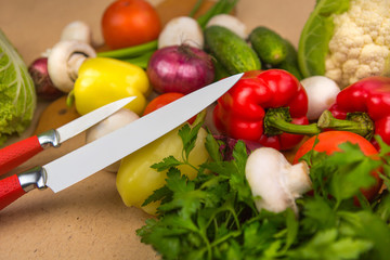 Composition of raw organic vegetabes with knife