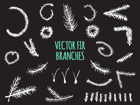 Hand Drawn Fir Branches, Christmas Tree, Vector elements isolated on black background.