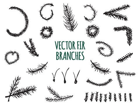 Hand Drawn Fir Branches, Christmas Tree, Vector elements isolated on white background.