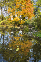 Fototapeta na wymiar Autumn in Botanical Garden of Cluj, Transylvania, Romania