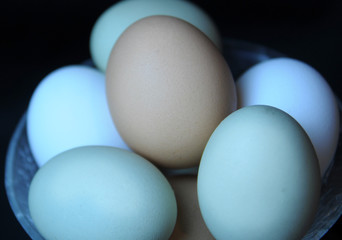 Best layed eggs, organic