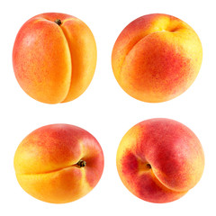 Apricot fruits isolated
