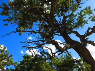 Grand Canyon, North Rim, USA
