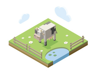 Vector isometric illustration of black and white  cow on the green field, dairy products, organic food, 3d flat design icon, healthy milk, farm animals