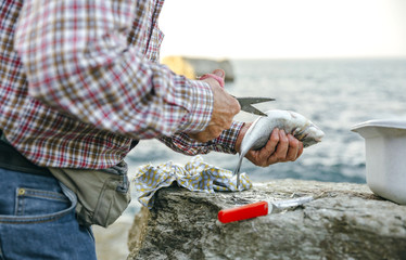 Senior man cutting caught fish