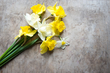 Spring flowers