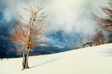 Winter Christmas landscape background