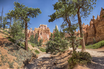 bryce canyon