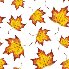 Naklejka na ściany i meble Watercolor seamless pattern autumn leaves maple, hand painted watercolour autumn background of falling leaf, design for fabric, textile, wrapping paper, card, invitation, wallpaper, web design