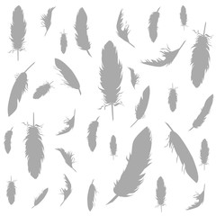 Beautiful feathers silhouette set. Boho theme. Hand drawn vector illustration