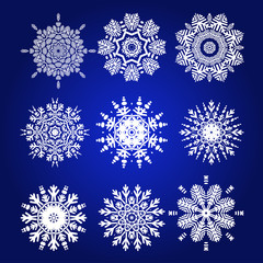 Decorative Snowflakes Vector Set