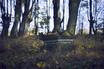 Abandoned cemetery 