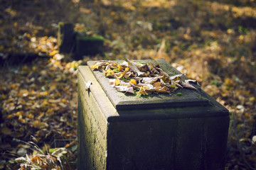 Abandoned cemetery 