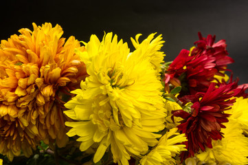 bouquet of colorful autumn flowers