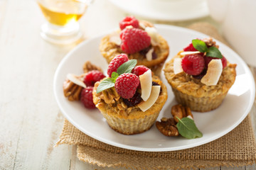 Homemade freshly baked oatmeal muffins