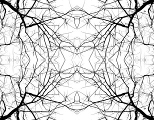 abstract mirror texture black and white tree for background