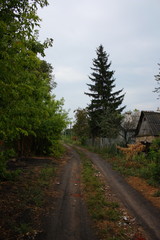 Просёлочная дорога вдоль деревни