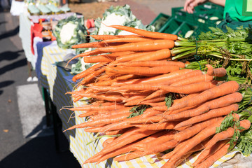 viele Karotten