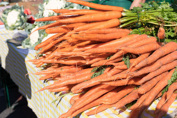 viele Karotten