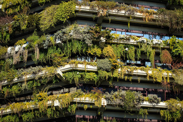 Green building