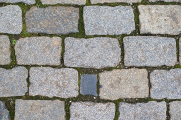Grey brickes on ground like a texture.