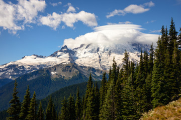 Naklejka premium Mount Rainier National Park