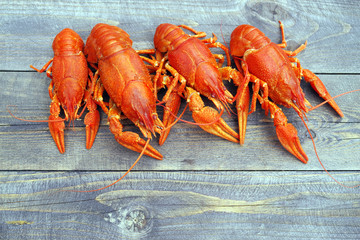 Boiled crawfish on a wooden background, close up