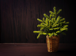 Christmas tree on winter wooden retro background