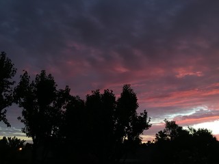 Pink Sunrise
