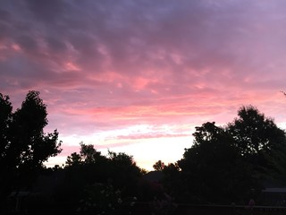 Pink Sunrise