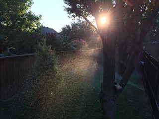 Obraz premium early morning sprinklers sunrise