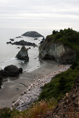 Oregon Coastline