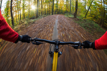 Mountain biker rides through forest with speed.