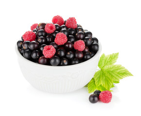 Black currant and raspberry in bowl
