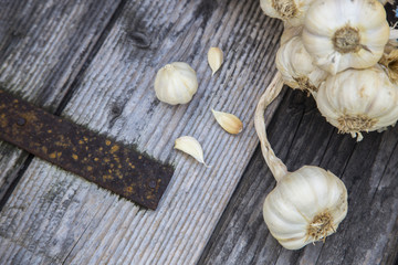 Fototapeta na wymiar cloves of garlic on the wood background.
