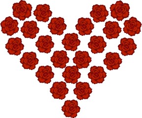 Shape heart from red roses on white background, vector illustration