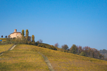 Panorama collinare con vigneti in autunno