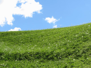 Fototapeta na wymiar Grassy field at the rolling hill against the blue sky