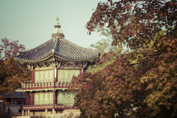 Autumn at Gyeongbokgung Palace in Seoul,Korea.