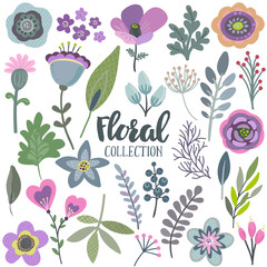 Vector graphic set with beautiful flowers, leaves, branches, berries.