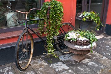 Old bicycle, summer greens and white snow