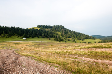 View to the carpathian mountains from forest