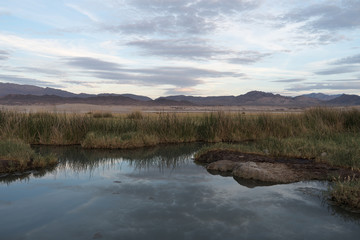 Natural hot pond: a collection of hot springs feed a pond in the open desert adjacent to the small town of Tecopa in Inyo County, California. The pond is popular for mud bathing.