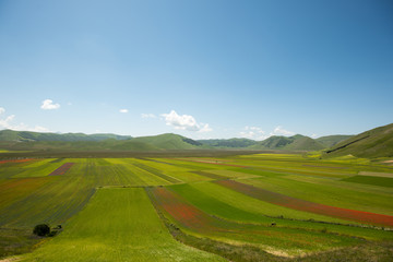 Obraz premium Castelluccio di Norcia
