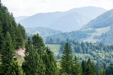 Fototapeta premium View to the carpathian mountains from the top