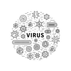 cells of viruses and bacteria